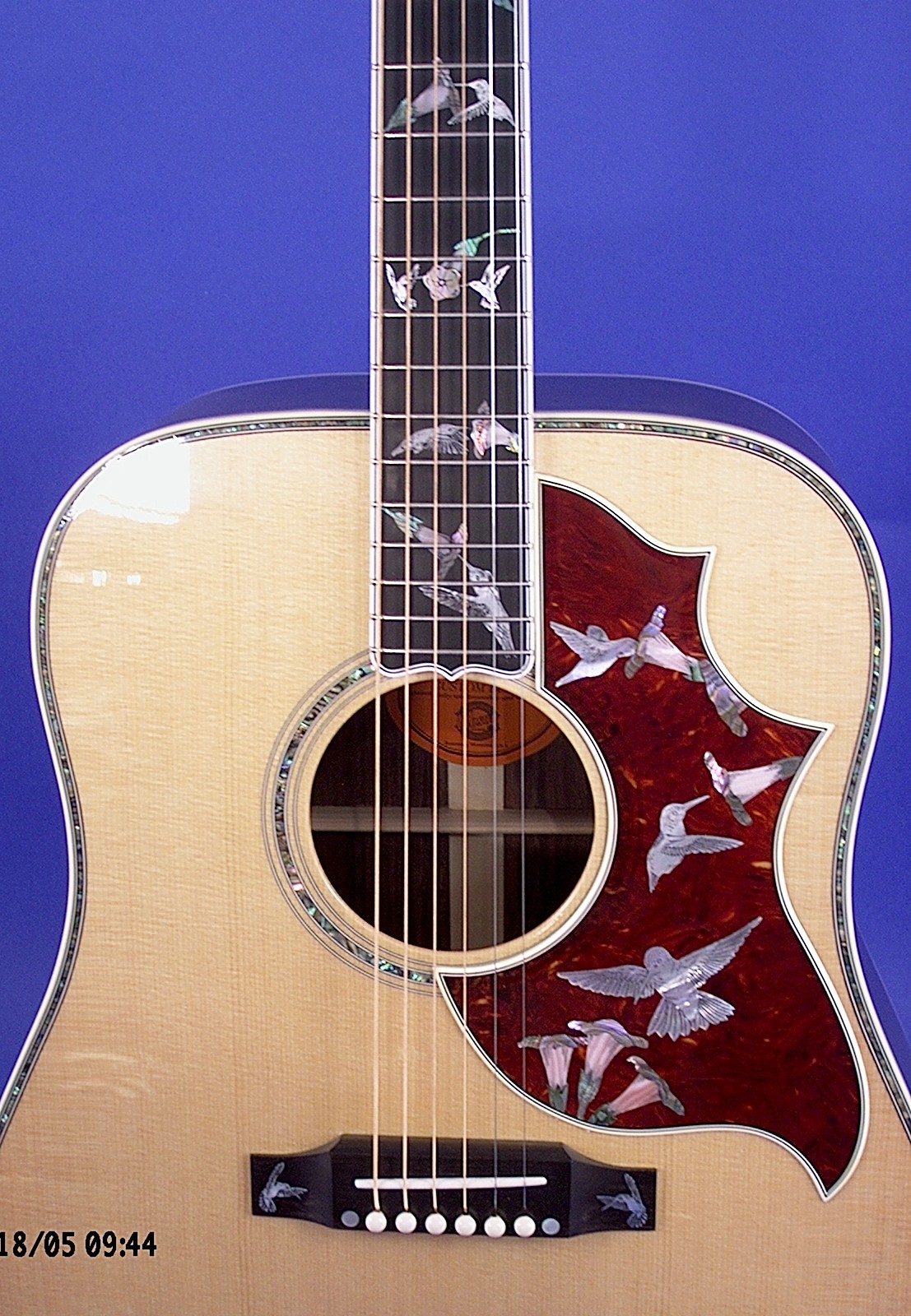 Engraved Hummingbird